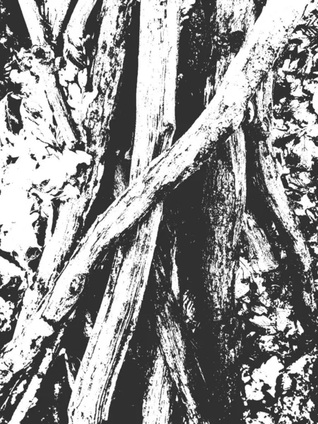 Not alten trockenen Holzstruktur. Schwarz-weißer Grunge-Hintergrund. Vektorillustration — Stockvektor