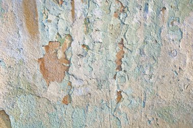 Eski çatlamış beton, beton duvar dokusu. Web tasarımı için zemin ve arkaplan.