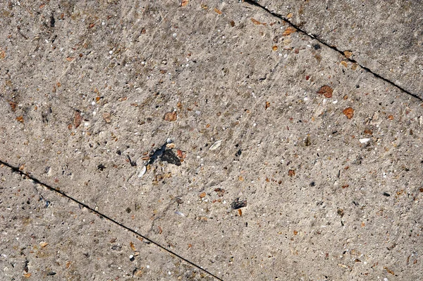 Old cracked concrete, cement wall texture. Surface and background for web design. — Stock Photo, Image