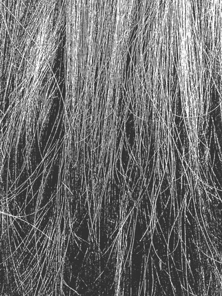 Distress grunge texture with natural human hair. EPS 8 vector illustration. — Stock Vector