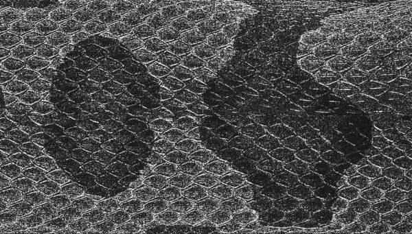 Distress Snake Skin Grunge Texture Eps Vector Illustration Black White — Stock Vector