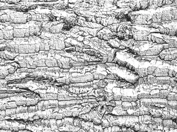 Alten Trockenen Holz Textur Schwarz Weißer Grunge Hintergrund Eps8 Vektorabbildung — Stockvektor