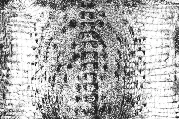 Скорбь Змея Кожи Гранж Текстуры Векторная Иллюстрация Eps Черно Белый — стоковый вектор
