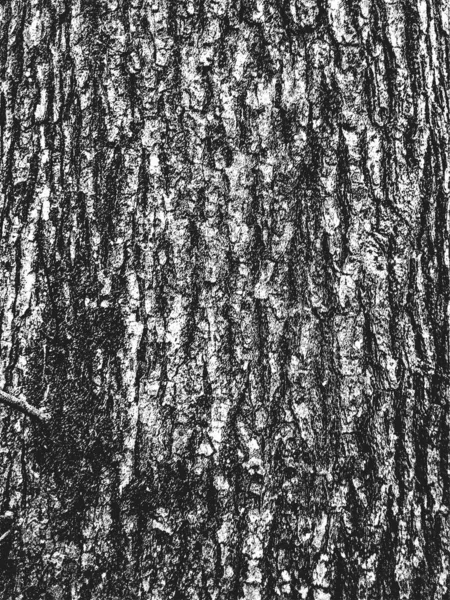 Alten Trockenen Holz Textur Schwarz Weißer Grunge Hintergrund Eps8 Vektorabbildung — Stockvektor