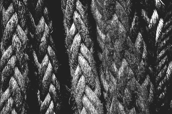 Distress Grunge Διανυσματική Υφή Του Σχοινιού Λυγαριά Ασπρόμαυρο Φόντο Εικόνα — Διανυσματικό Αρχείο