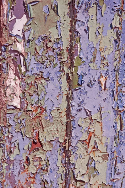 旧锈蚀金属的背景结构受损 铁片上的多色油漆残留物 — 图库照片