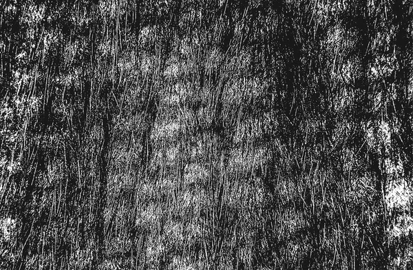 Distress Grunge Vektor Textur Aus Natürlichem Fell Schwarz Weißer Hintergrund — Stockvektor