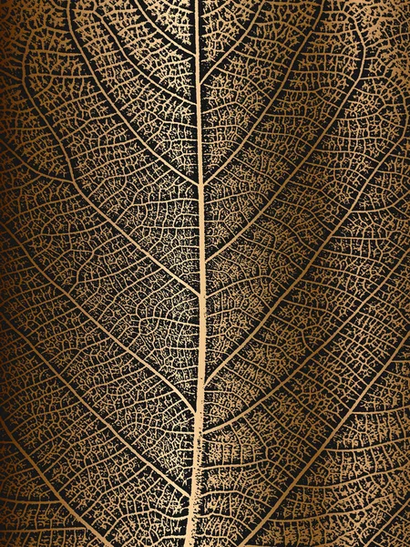 Φύλλα Δέντρων Κινδύνου Υφή Φυλλαδίου Χρυσό Φόντο Ασπρόμαυρο Φόντο Grunge — Διανυσματικό Αρχείο