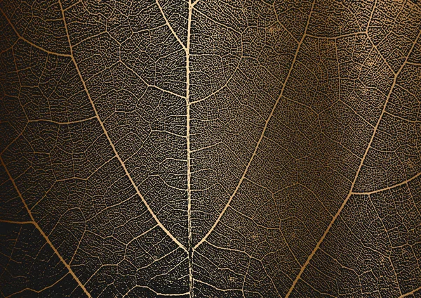 Noodboom Bladeren Folder Textuur Gouden Achtergrond Zwart Wit Grunge Achtergrond — Stockvector