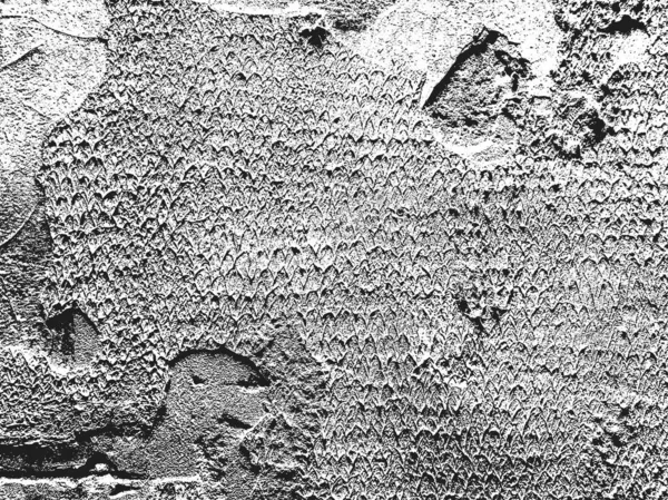 Texture Recouvrement Perturbée Béton Fissuré Plâtre Ciment Arrière Plan Grunge — Image vectorielle