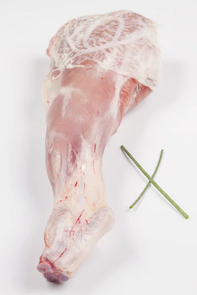 哺乳羊肉腿 — 图库照片