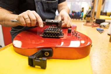 Luthier craftsman clipart