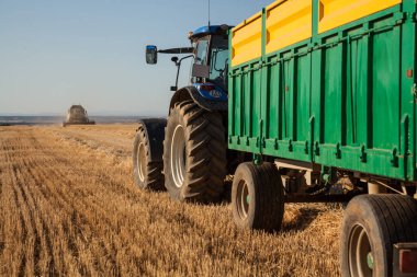 Traktörle traktör gün batımında bir buğday çiftliğinde hasat işi yapıyor.