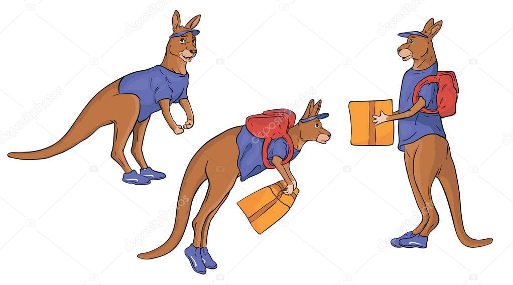 kangaroo delivers package