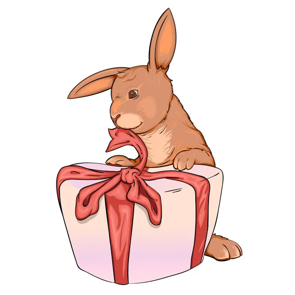 兔子和礼物 — 图库矢量图片