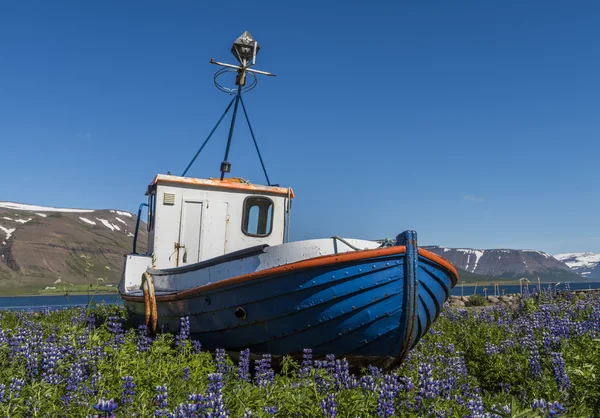 Stará loď letiště Thingeyri Islandu — Stock fotografie