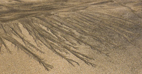 Мокрий пісок візерунок на пляжі — стокове фото