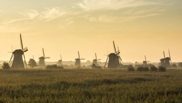 안개로 아침에 Kinderdijk — 스톡 사진