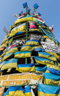 Maidan Kiev bayraklar