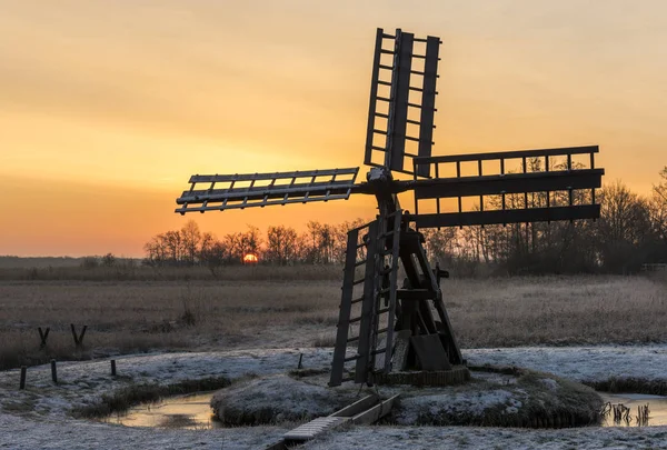 Sunrise Paaltsjasker en Wieden-Weerribben —  Fotos de Stock