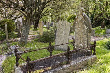 Büyük domates kreş