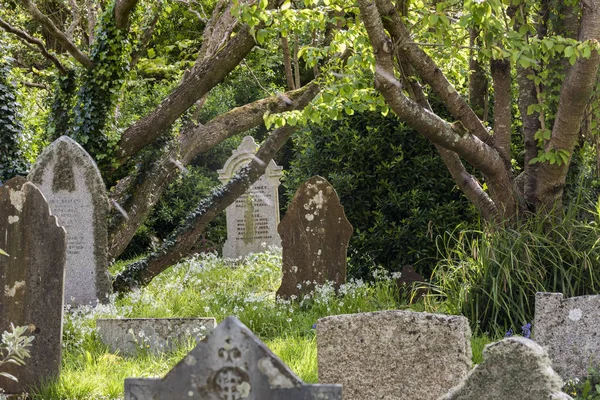 Hřbitov Gwithian Cornwall — Stock fotografie