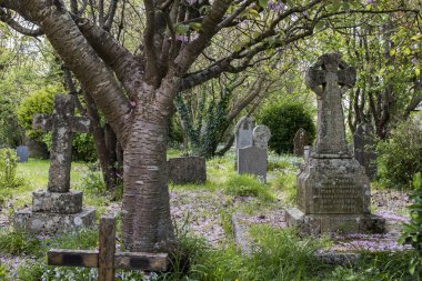 Haçlar mezarlığı Gwithian