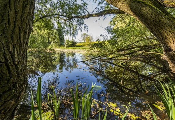 Asperen Gölü Hondegat