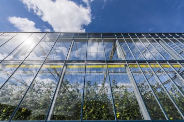 Domates cam sera Harmelen