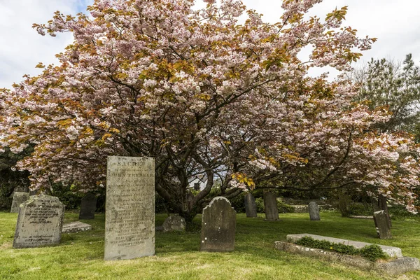 Graveyard Saint Just — Stock Photo, Image