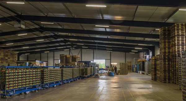 Domates ambar ve cam ev