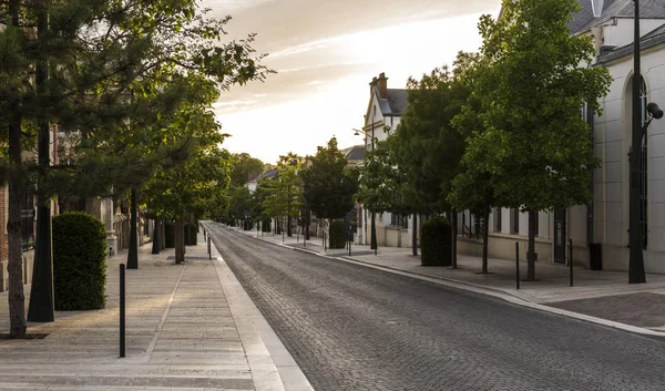 Avenue de Chanel Epernay Sunset — стоковое фото