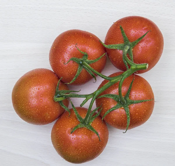 Kilka pomidorów mokre — Zdjęcie stockowe