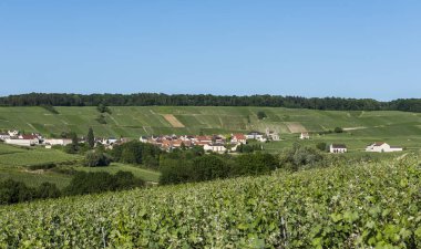 Leuvrigny şampanya bölge