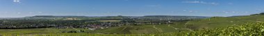 Panorama Epernay üzüm bağları
