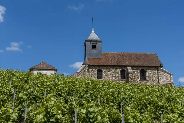 Mutigny kyrkan vingårdar — Stockfoto