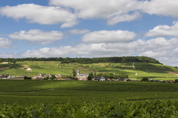 Oger in Champagne District — Stock Photo, Image