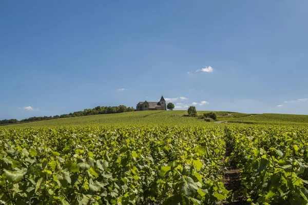 Weinberge mit chavot kirche frankreich — Stockfoto