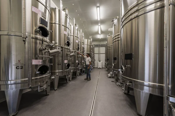 Modern şarap üretimi Verneuil — Stok fotoğraf