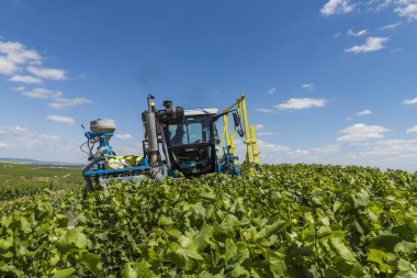 Traktör kesme üzüm