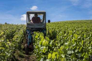 Şarap çiftçi bağ makineleri