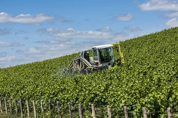 Tractor Spraying Vineyard — Stock Photo, Image