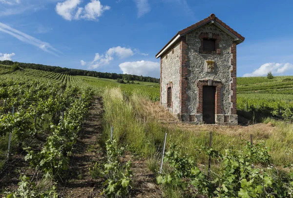 Champagne Vignoble avec Maison — Photo