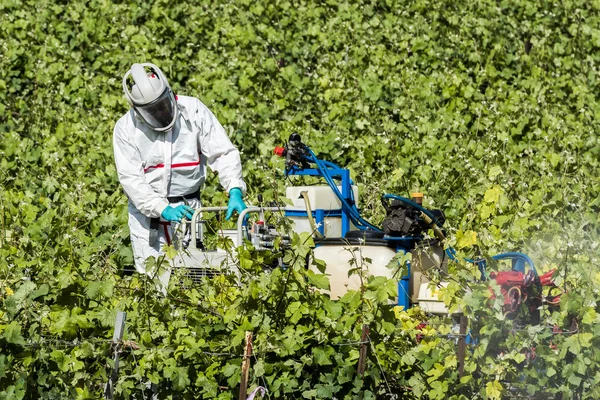 Trabajador con pesticidas Imagen De Stock