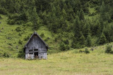 Avusturya eski kabin