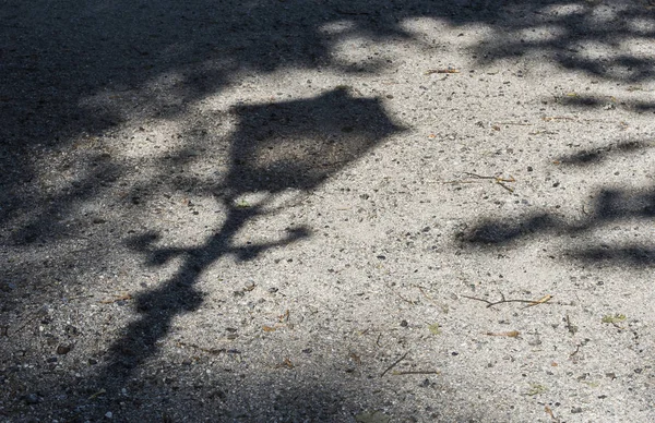 Laternen-Schatten auf einem Fußweg — Stockfoto