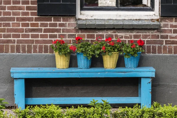 Banco com flores em cesta — Fotografia de Stock