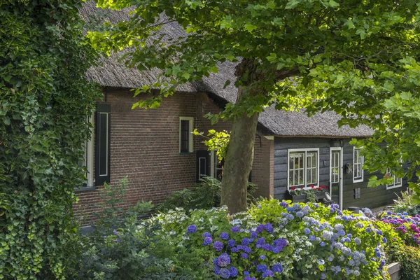 Hortensja Dom i drzewa w mieście Giethoorn — Zdjęcie stockowe