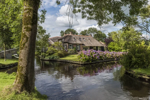 Casa con hortensias y árbol Giethoorn — Foto de Stock