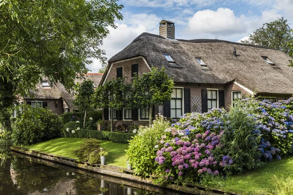 Casa con hortensias en Giethoorn — Foto de Stock